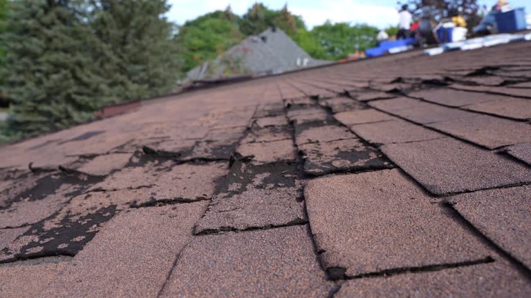 Roof Coating Services in Seabrook, MD