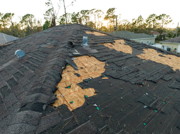 Best Roof Maintenance and Cleaning  in Seabrook, MD