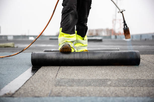 Best Skylight Installation and Repair  in Seabrook, MD