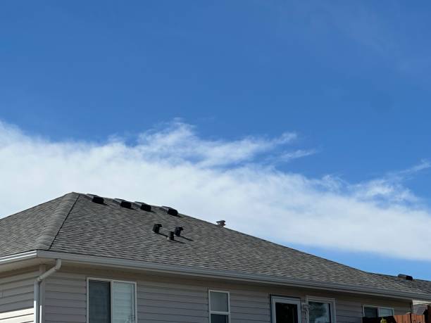 Best Solar Panel Roofing Installation  in Seabrook, MD